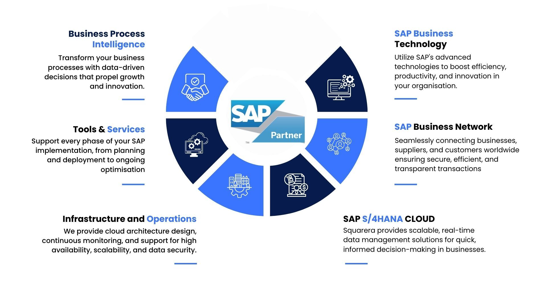 SAP partner