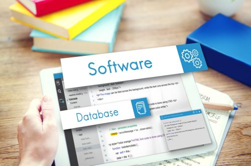 Software development